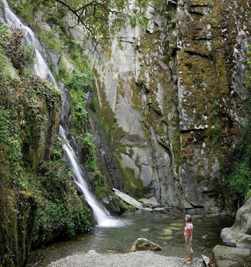 A Pequena Casa Coja Central Portugal Mountains Dış mekan fotoğraf