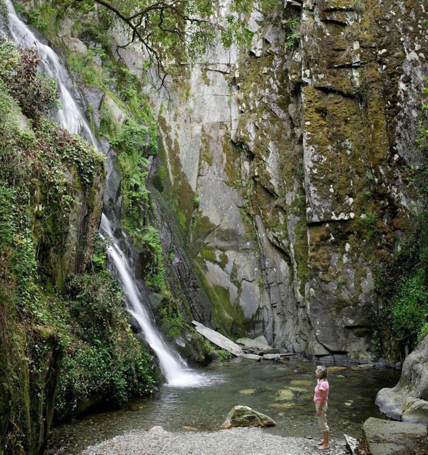 A Pequena Casa Coja Central Portugal Mountains Villa Dış mekan fotoğraf