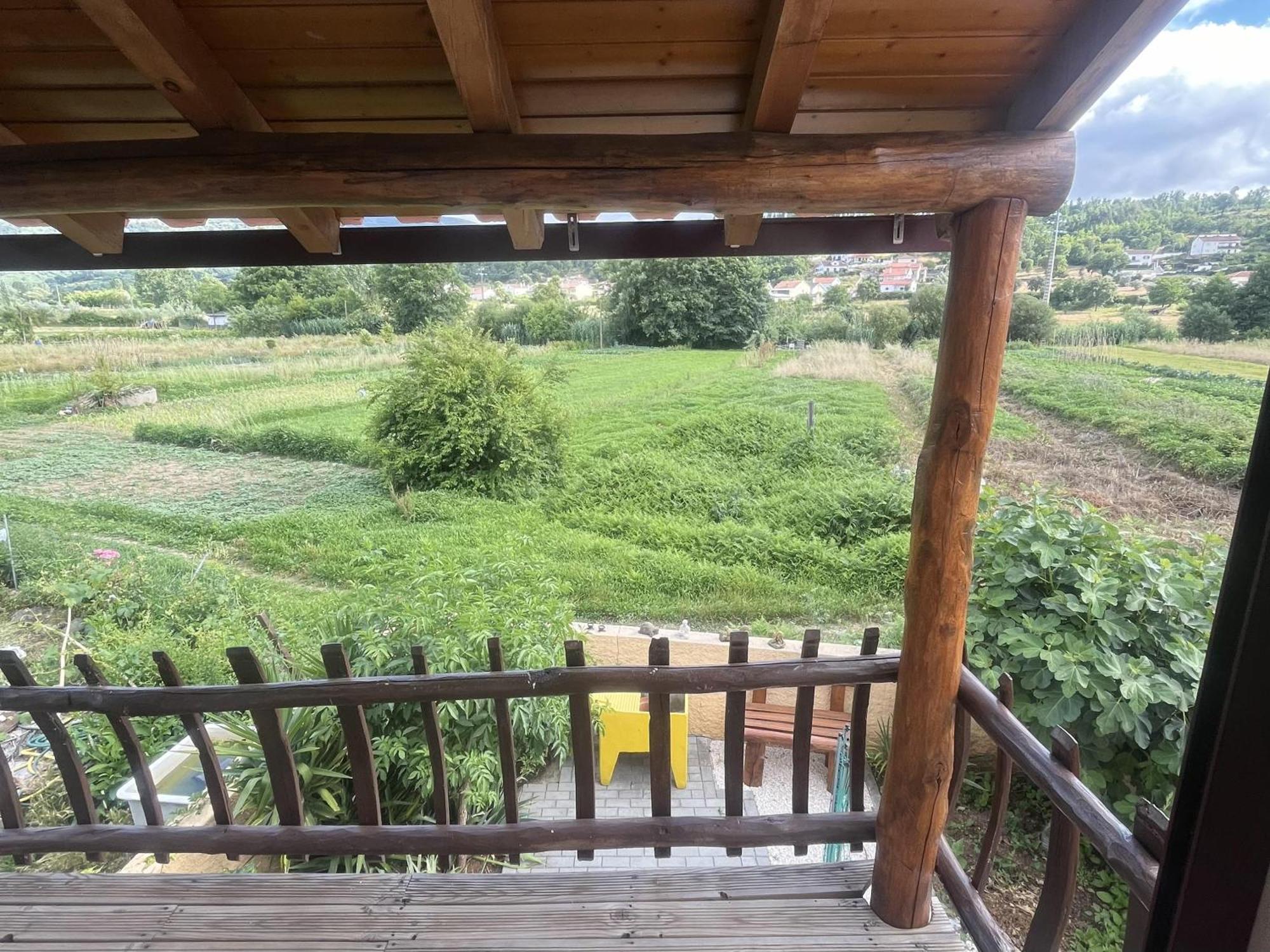 A Pequena Casa Coja Central Portugal Mountains Villa Dış mekan fotoğraf